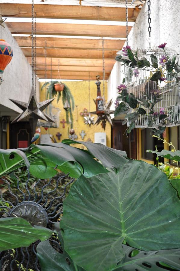 Hotel Tolotzin トルーカ エクステリア 写真